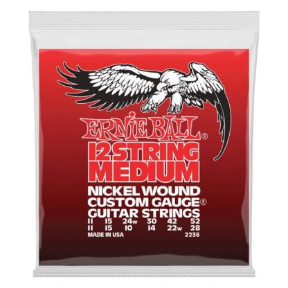 Guitarra Eléctrica Medium 12-Cuerdas Nickel Wound - Eb-P02236