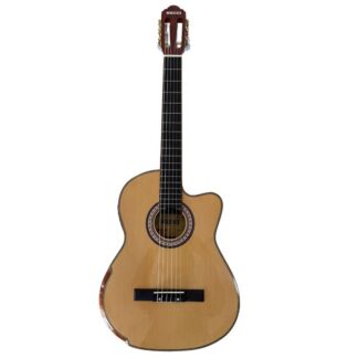 Guitarra Electro Actustica Gpn1 - He-Gpn1