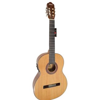 Guitarra Electro Actustica Gpn2 - He-Gpn2